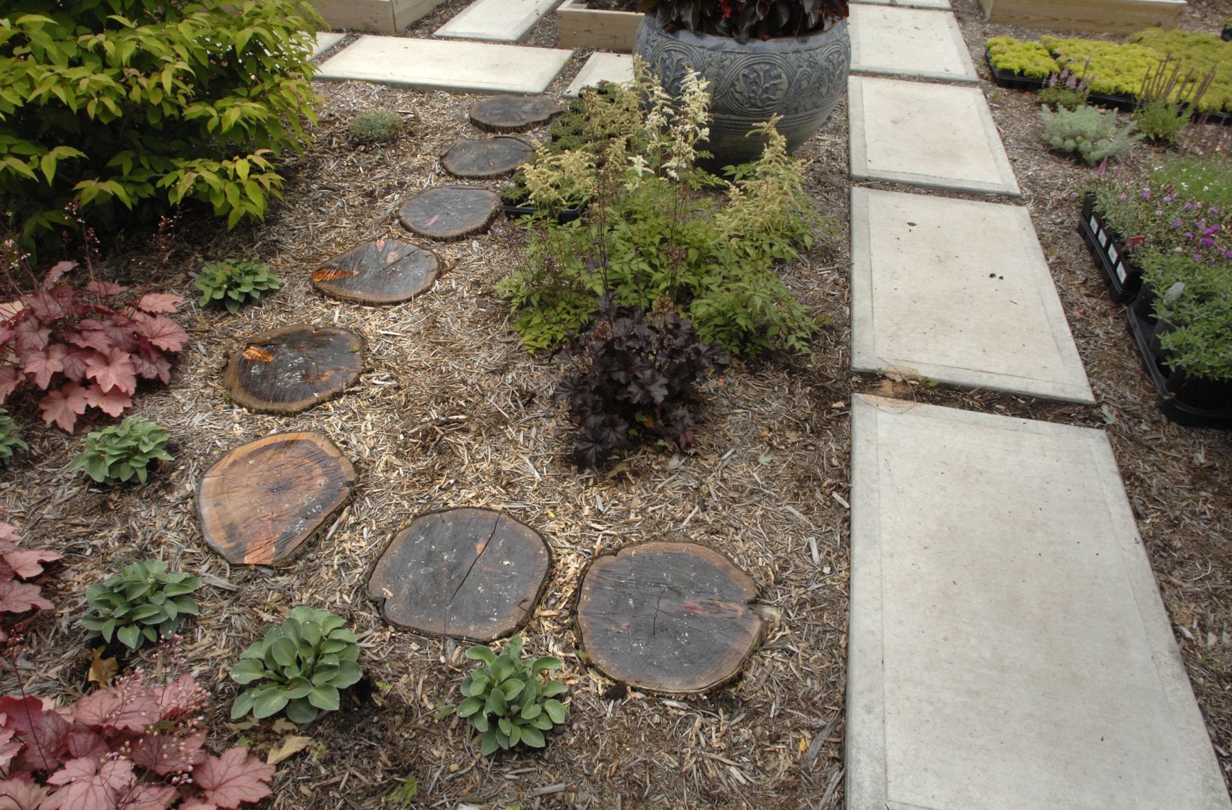 061819-blm-loc-4garden